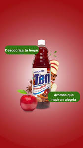 12- 70008-5 DEODORIZER TEN MANZANA CANELA - MULTIUSO - 24/15 OZ